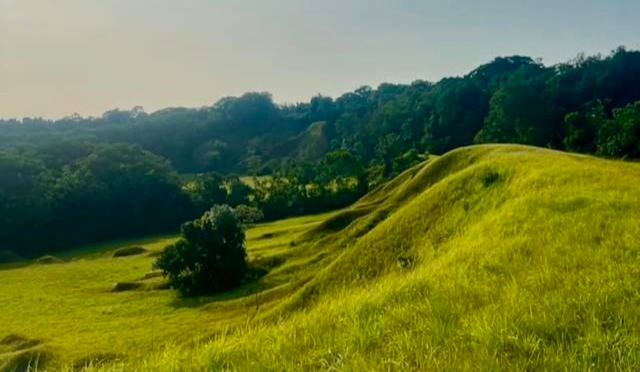 Savane de la Nyanga
