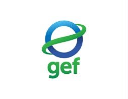 Logo GEF