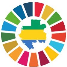 Logo PNUD Gabon
